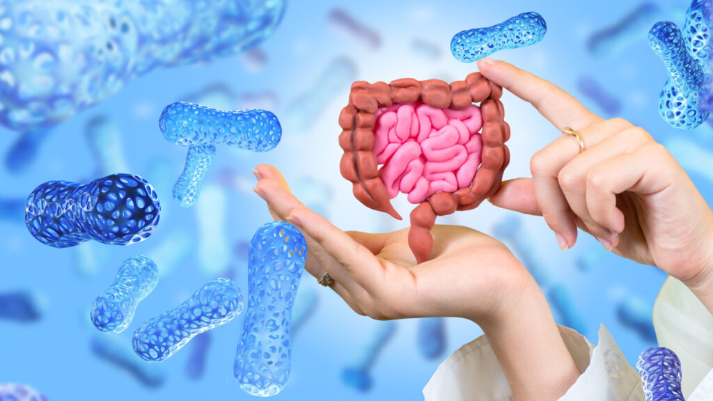 Go With Your Gut: The Importance of the Gut Microbiome